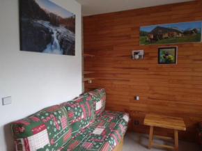 Studio fonctionnel près des pistes, parking inclus, animaux admis - FR-1-181-2840